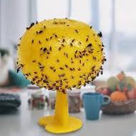 Sticky Fly Balls for Catching Mosquitoes & Pests - Eco-Friendly Pest Control - 1 Piece