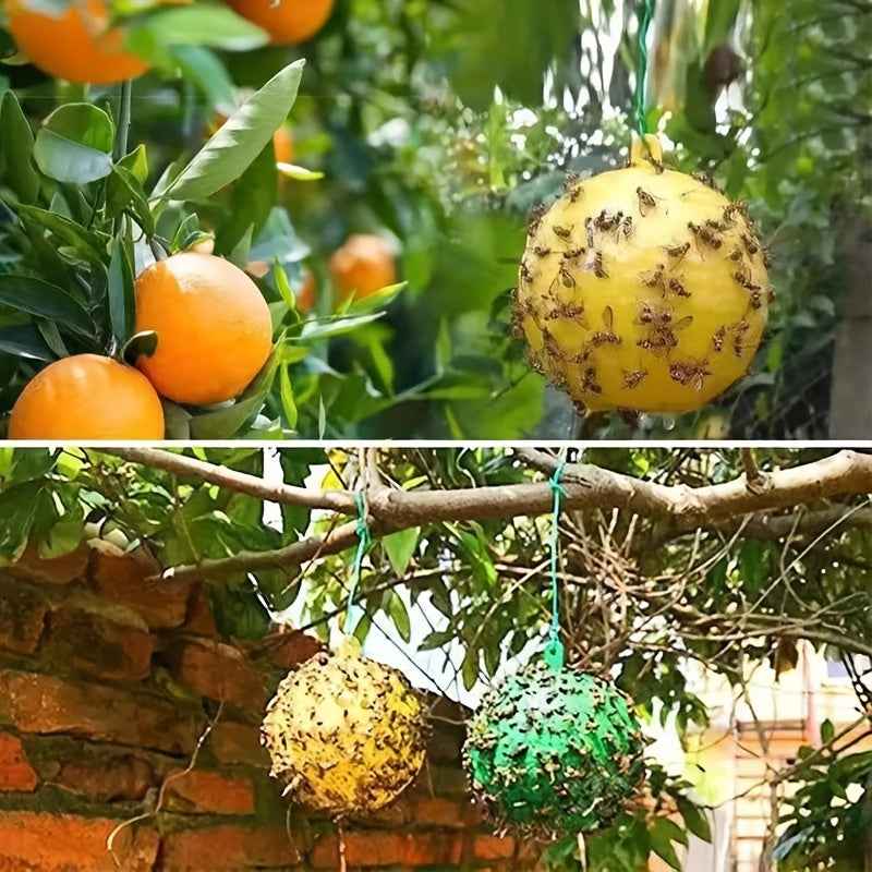 Sticky Fly Balls - Catch Mosquitoes & Pests - Eco Friendly-1pcs