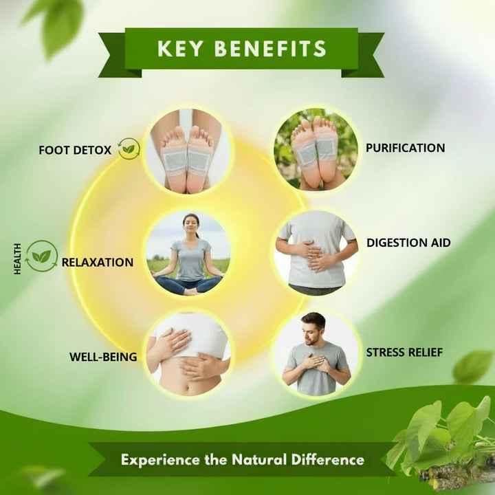 Herbal Giloy Detox Foot Patches | Body Detox Support, Stress Relief(1 BOX = 20 PATCHES-Buy 1 Get 3Free🔥🔥) - Needsly