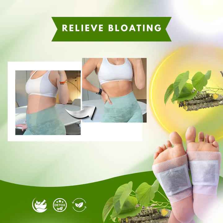 Herbal Giloy Detox Foot Patches | Body Detox Support, Stress Relief(1 BOX = 20 PATCHES-Buy 1 Get 3Free🔥🔥) - Needsly