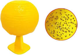 Sticky Fly Balls for Catching Mosquitoes & Pests - Eco-Friendly Pest Control - 1 Piece
