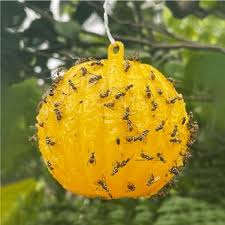 Sticky Fly Balls for Catching Mosquitoes & Pests - Eco-Friendly Pest Control - 1 Piece